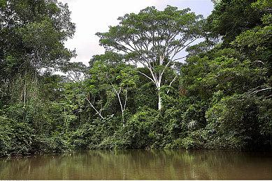 《杀戮尖塔》开发商卡牌新作免费供PC玩家下载